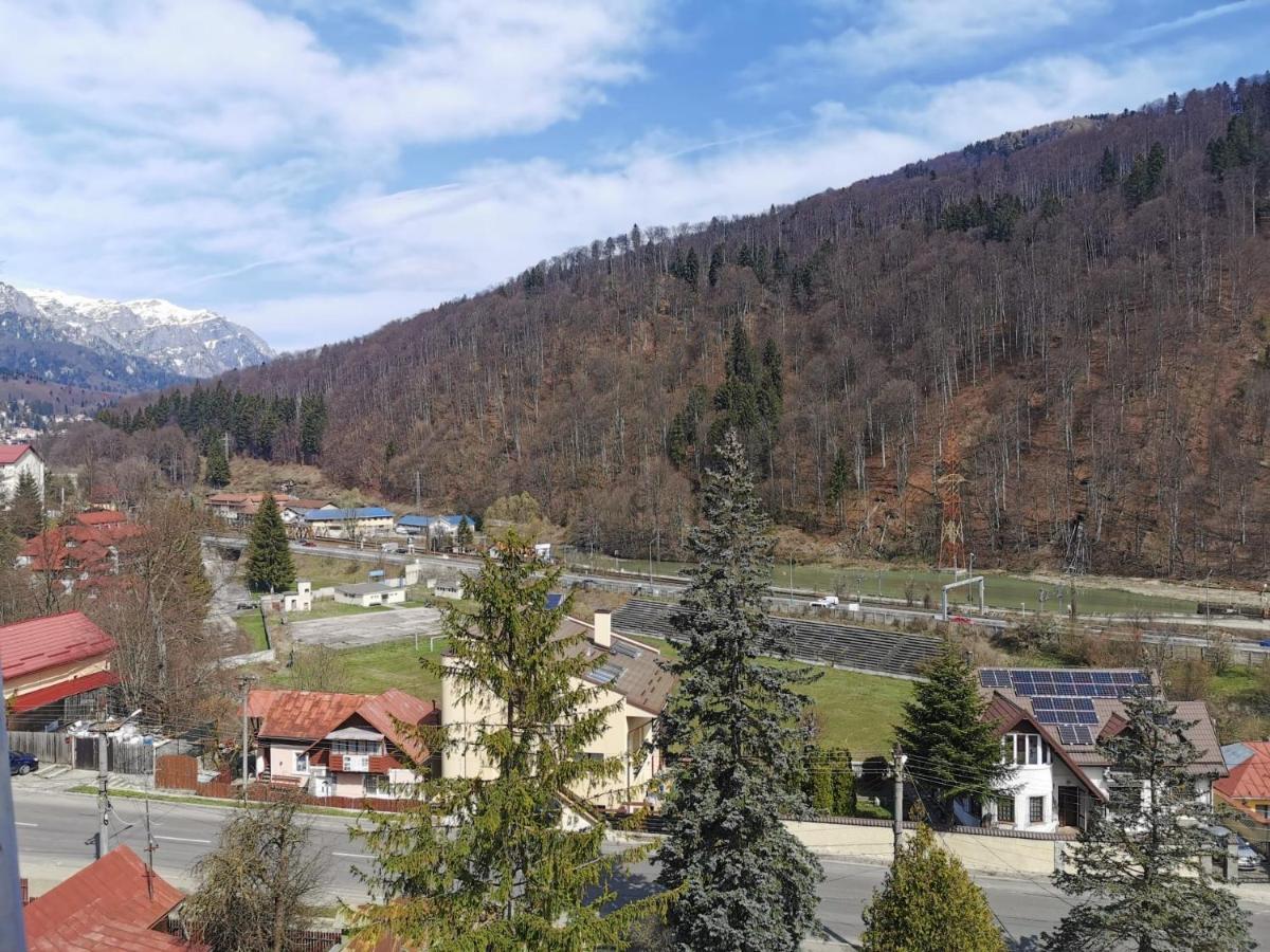 Apartament Panoramic View Sinaia公寓 外观 照片