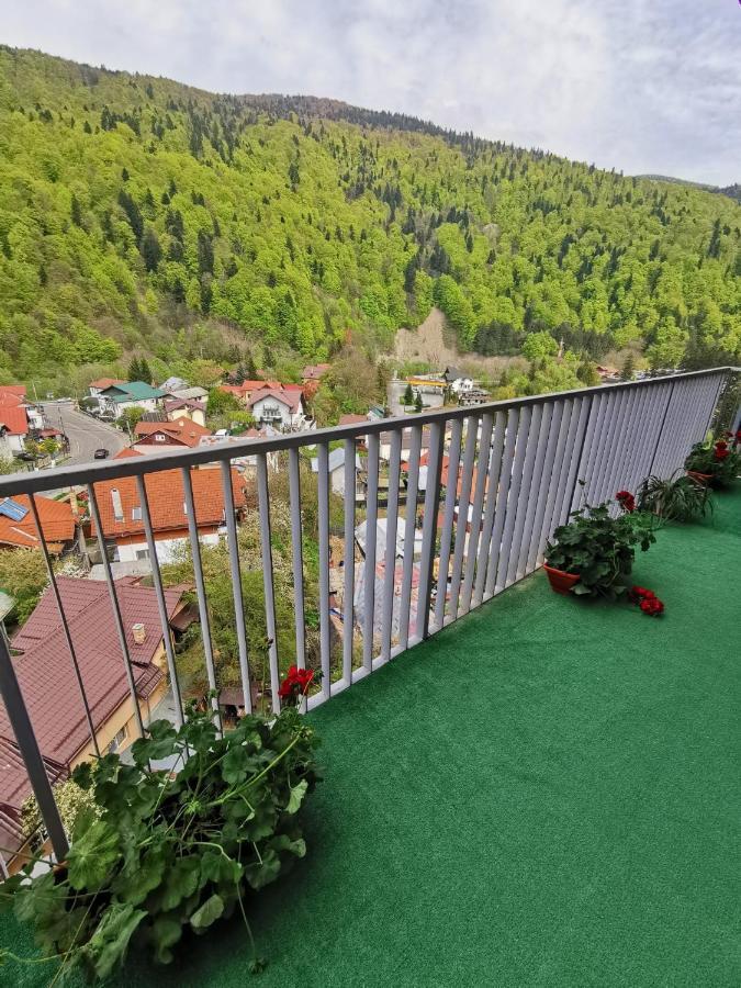 Apartament Panoramic View Sinaia公寓 外观 照片