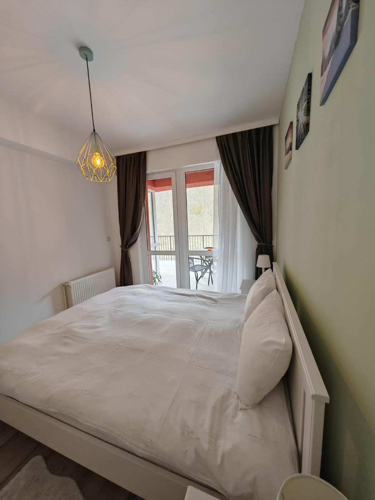 Apartament Panoramic View Sinaia公寓 外观 照片