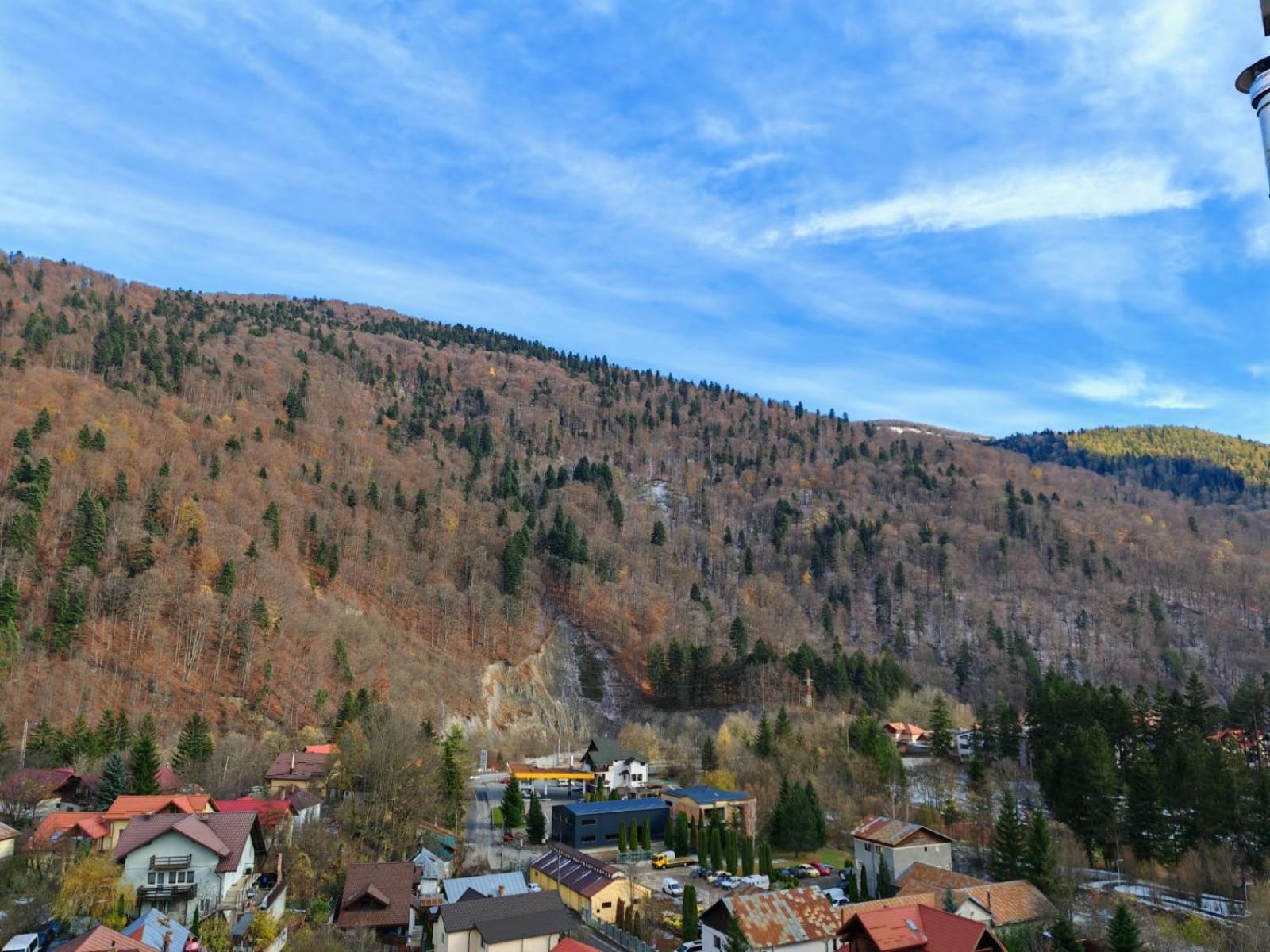 Apartament Panoramic View Sinaia公寓 外观 照片
