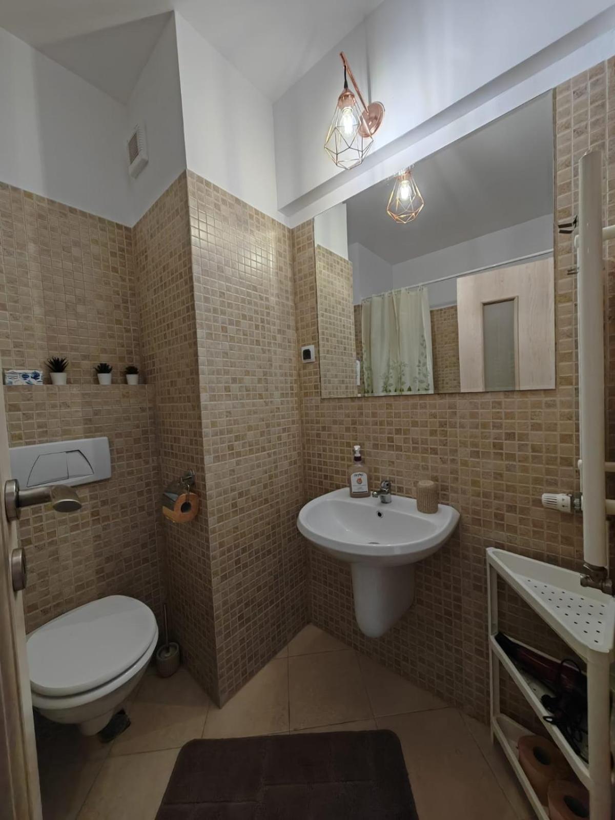 Apartament Panoramic View Sinaia公寓 外观 照片