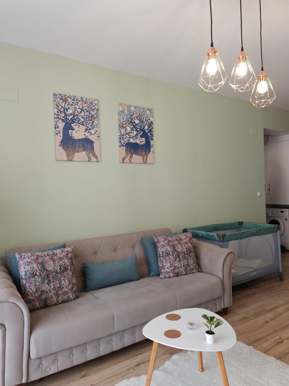 Apartament Panoramic View Sinaia公寓 外观 照片
